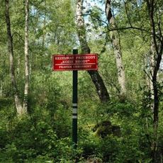 Rezerwat Kozie Brody