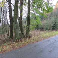 Kříž mezi Ctiboří a Počátkami  na okraji lesa