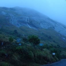 South Western Ghats montane rain forests