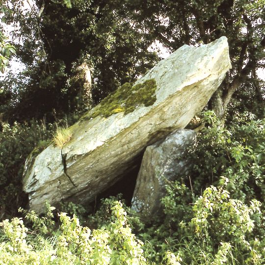 Portal Tomb von Ervey