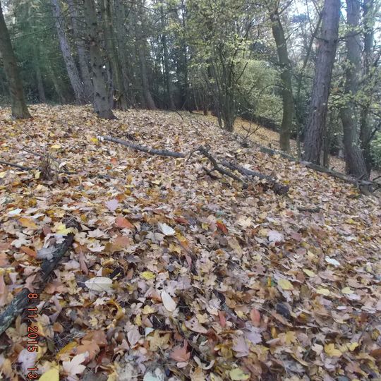 Hradisko Ostrá hora