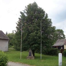 Památník stromu svobody v Bezvěrově