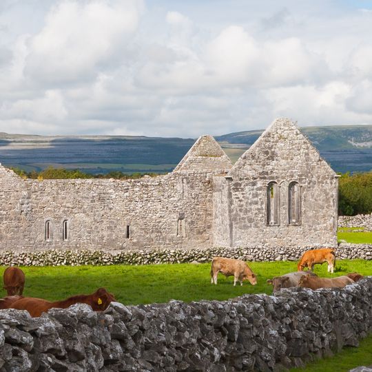 Abbey of St. Mary de Petra, Kilmacduagh