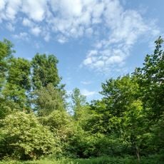 Langenbroich-Stetternicher Wald