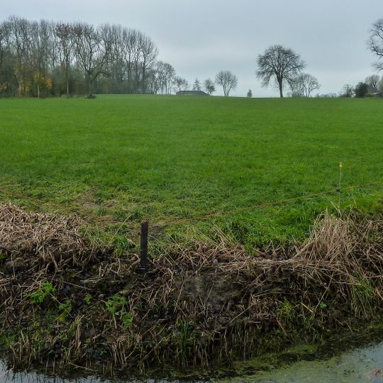 Terrein met een wierde