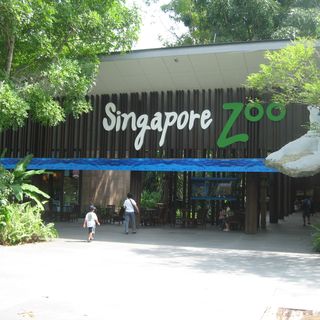 Zoológico de Singapur