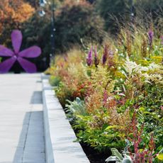 Lilac garden Shelkovskoe highway