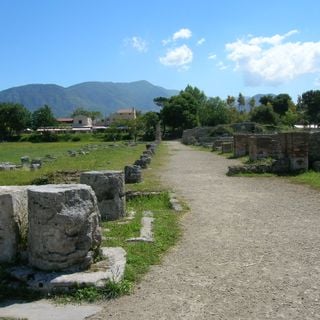 South portico in the Forum (Paestum)