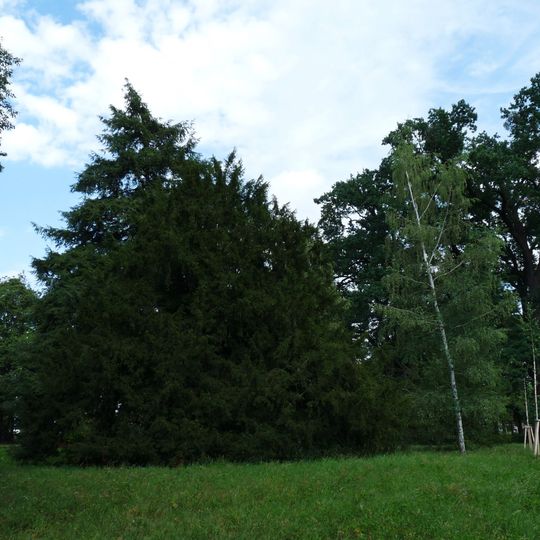 Tis v Podzámecké zahradě