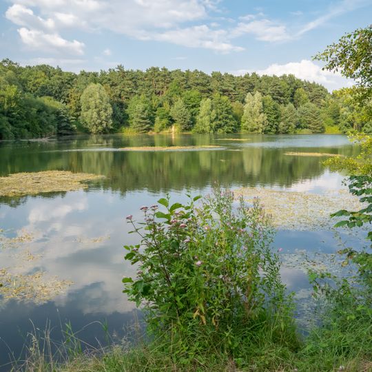 LSG-Seen in der Lippeniederung