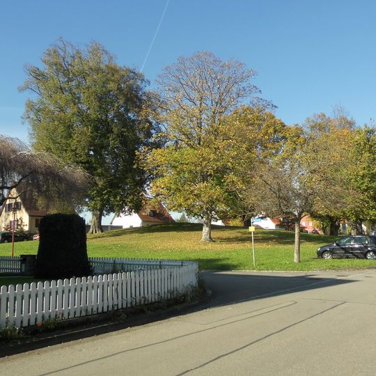 1 Traubeneiche, 1 Winterlinde, "Eichenbuckel"