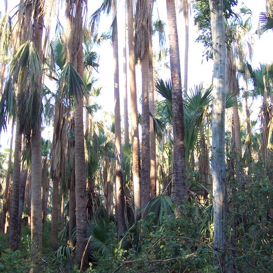 Parc national d'Elsey