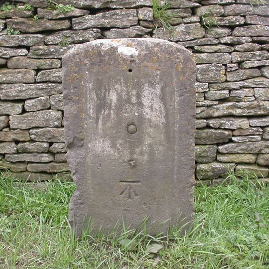 Milestone Ngr 967881