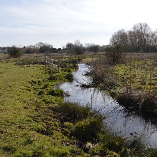 Purwell Meadows