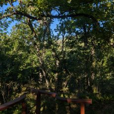 Punto di vista panoramico