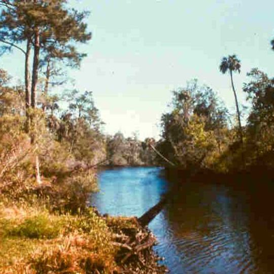 Waccasassa Bay Preserve State Park