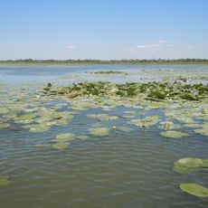 Lake Bile