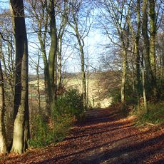 Captain's Wood, Buckinghamshire