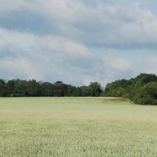 Katzendarm (Magdeburg)