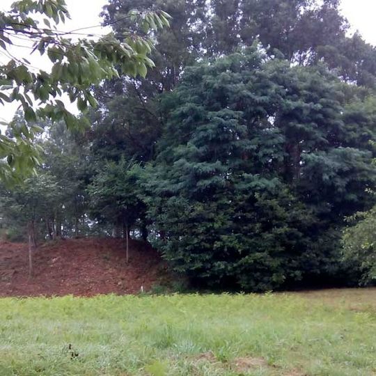 Castro de Nogueirosa