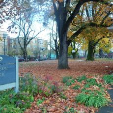 Dawson Park
