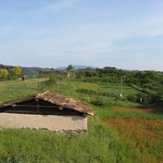 Àrea de Recerca Experimental Arqueològica de l'Esquerda