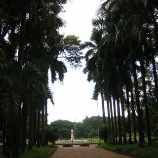Jardín Botánico de Calcuta