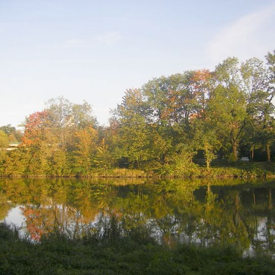 Donau-Auen zwischen Thalfingen und Höchstädt