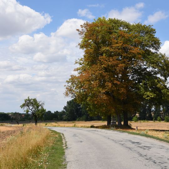 Wayside cross in Lechovice, alongside the road to Práče