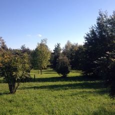 Arboretum de Beynost