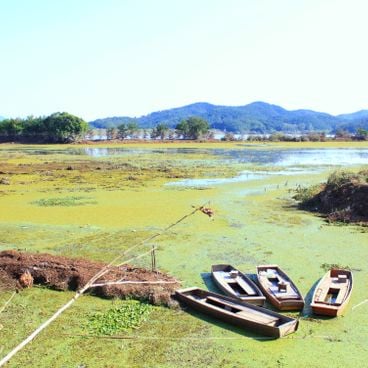 Lieux à visiter en Corée du Sud