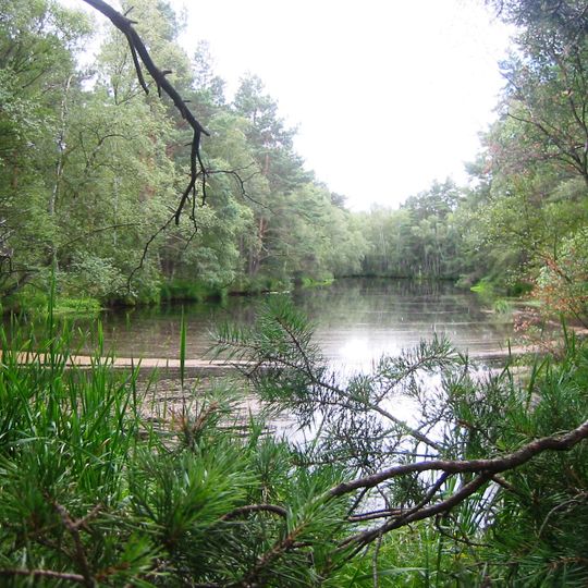 Ribnitzer Großes Moor und Neuhaus-Dierhäger Dünen
