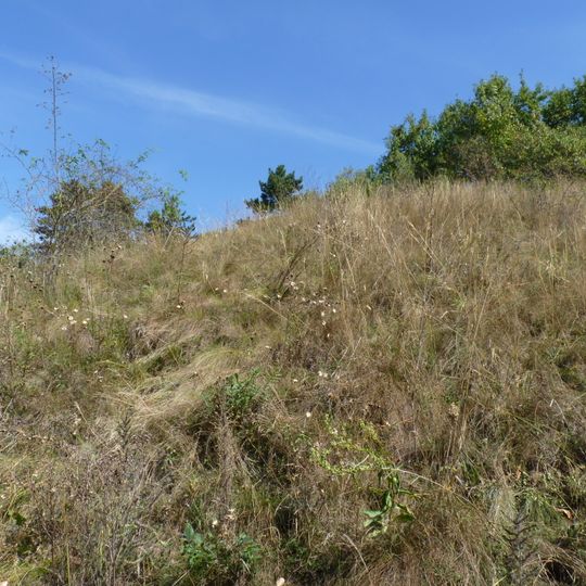 Velatická slepencová stráň