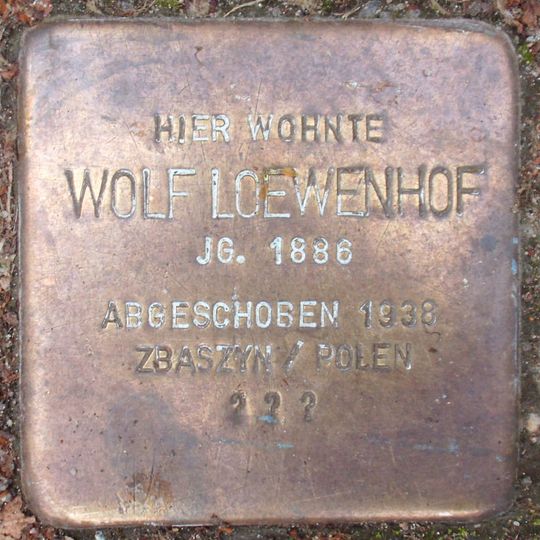 Stolperstein en memoria de Wolf Loewenhof