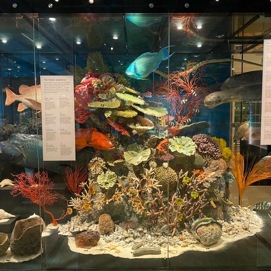 Queensland Museum Kurilpa