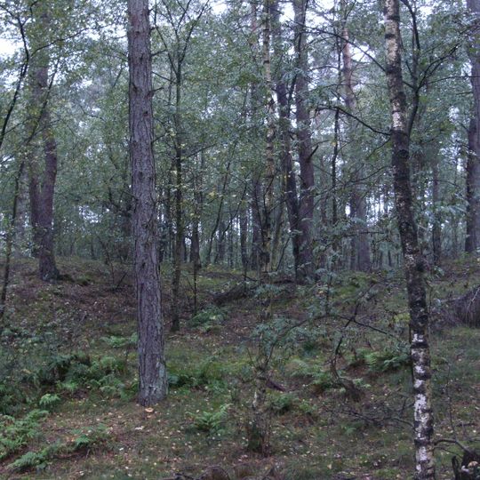 Terrein waarin twee grafheuvels