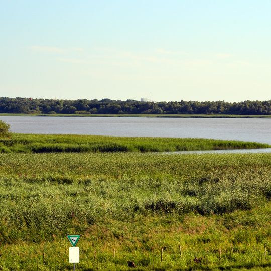 Eschschallen im Seestermüher Vorland