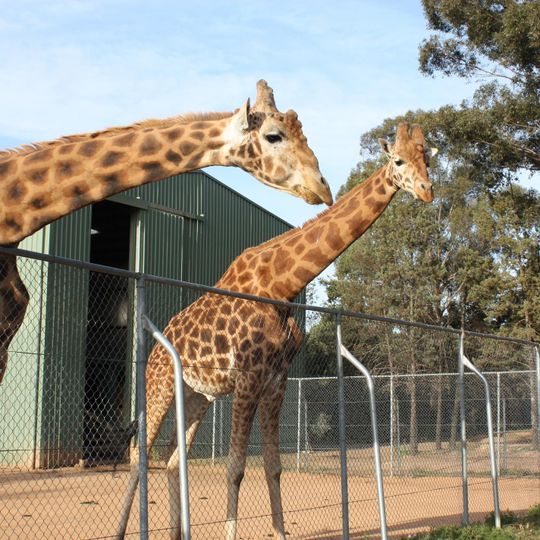 Taronga Western Plains Zoo