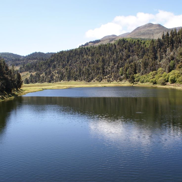 Sierra Nevada Milli Parkı