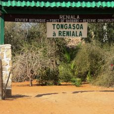 Reniala reservation