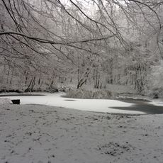 Kirchbergteich