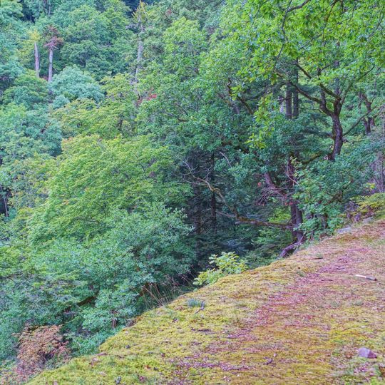 Schwarza-Schlücht-Tal