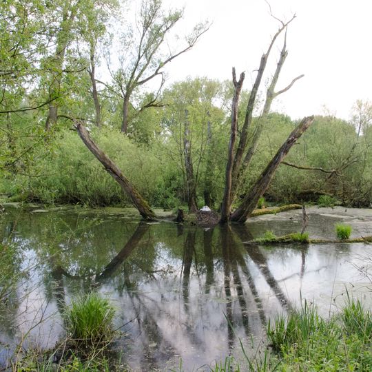 NSG Urdenbacher Kaempen