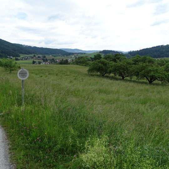 Prähistorischer Hornsteinbergbau Eisbach