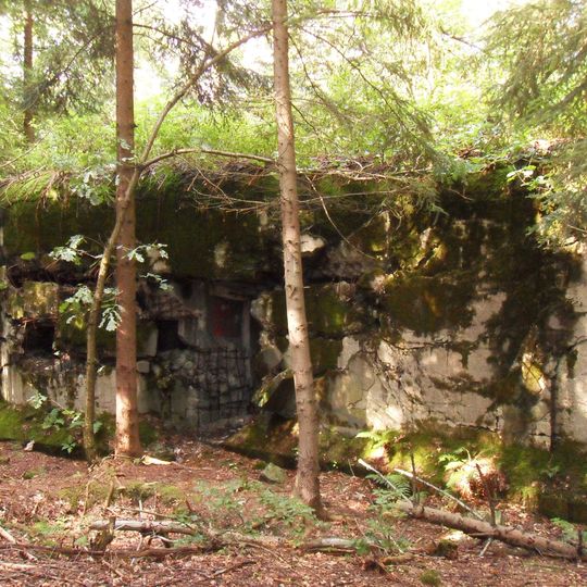 T-S 58 Velký les casemate