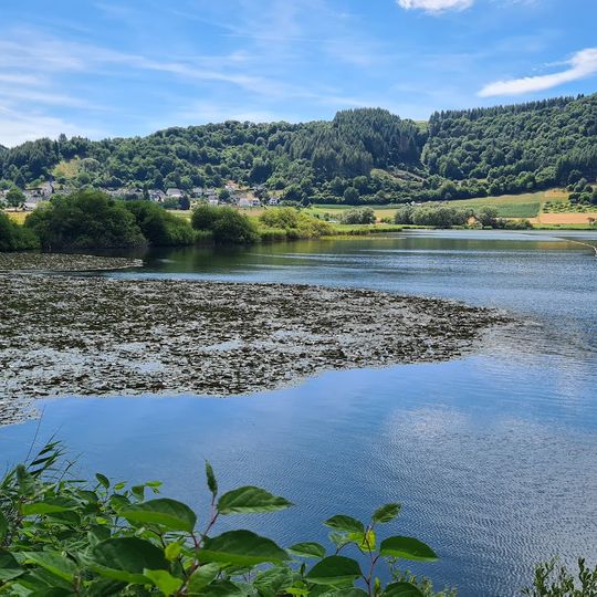 Naturfreibad Meerfelder Maar