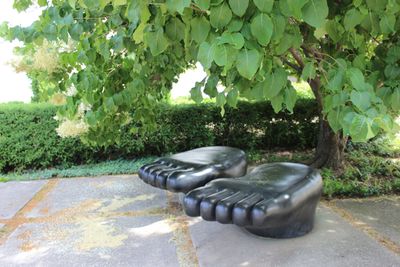 Alternatieve afbeelding