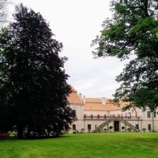 Tis v zámeckém parku