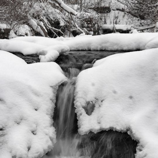 Waterfall Glen Forest Preserve