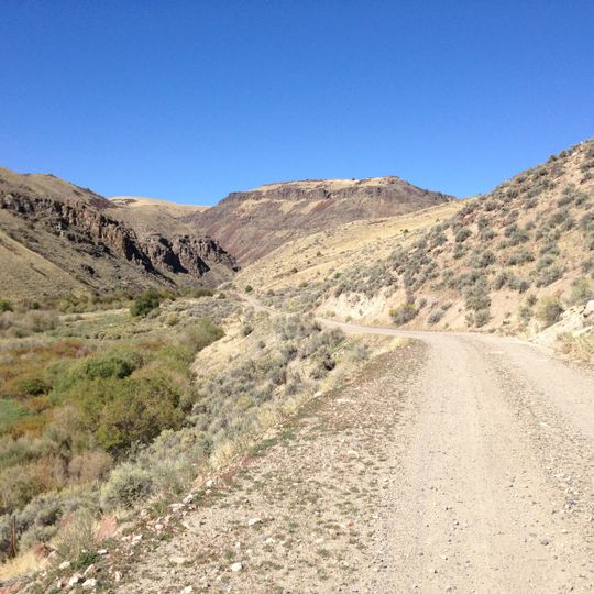 Bruneau Canyon